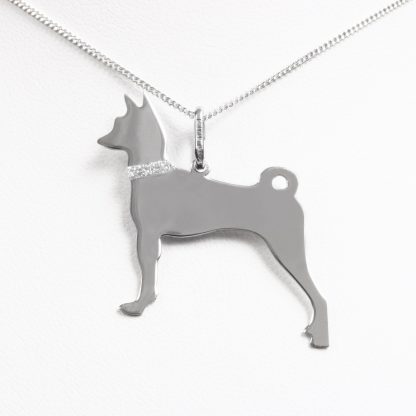 Sudraba kaklarota “Basenji”